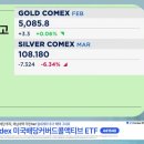 메모리실버 이미지