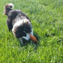 약산농장 이미지