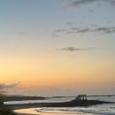 DAY-6 이사벨라섬 무료 스노클링 존 Pearl Shell 방문 (feat. 바다사자랑 수영함 씨잌😊) 및 이사벨라섬...