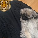 [겨울방학 랜선 특강] 헨젤과 그레텔 과자집 만들기 / 1~4학년 | <너 공부하기 얼마나 싫어?> <...바늘구멍> <-_-^ 죽고잡냐.> <바늘구멍 크기 빼고 다...>