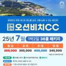 오션비치 이미지