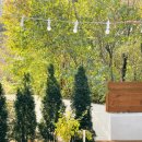 단장소원 이미지