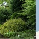 채플힐펜션 이미지