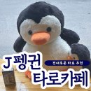 전대 후문 타로 추천 J펭귄 타로카페 멀티샵! 커피도 먹고 타로도 보는 일석이조 데이트 장소