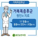 맑은숲한의원 이미지