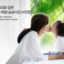 경북케리어