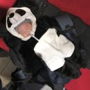 팬더세탁소 이미지