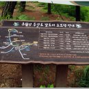 전남의 5대명산 담양 추월산, 산행 안내 이미지