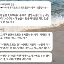 아이리스소프트 | 베스트허니문 : 발리 패키지 신혼여행 계약 후기