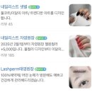 메종드아트 | 광주 네일샵 메종드네일 • 이달의 아트 후기