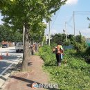 곡교천로 이미지