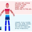 이레한의원 이미지