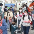 제주오다 이미지