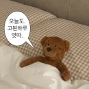 메르스튜디오