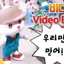 비디오앤 북 네이버블로그