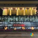 화이트래빗 이미지