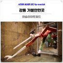 피노키오박물관(하슬라아트월드) | 강릉 가볼만한곳 강릉 하슬라아트월드 피노키오박물관 정동진 여행