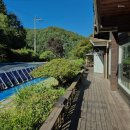 계곡의아침 이미지