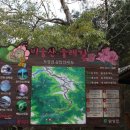 비슬산둘레길 7구간 이미지