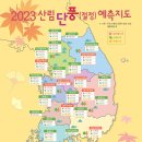 2023 산림 단풍 예측지도 이미지