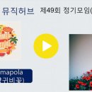 제49회 정기모임(2408) 3. Amapola/쿨맨 이미지