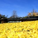 군산대성중학교 이미지