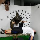 주문진초등학교삼덕분교장 | 20160707 주문진초등학교 삼덕분교장