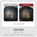 태성이용원 네이버블로그