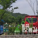 걷고 싶은 중구둘레길(제3코스) | 대전여행 추천 맨발 걷고싶은길 계족산 황톳길 장동산림욕장 자연힐링산책명소 아이와가볼만한곳 유아숲...