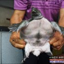 종민농장 이미지