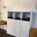 크런치핏 이미지