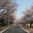 SK인천석유화학(주) 이미지