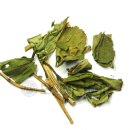 보양제약 이미지