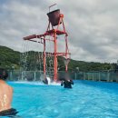 제피루스 온수풀 독채 펜션2 | 영흥도펜션 제피루스, 온수풀 독채펜션 강철부대 촬영지