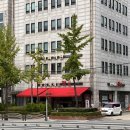 강남세계로약국 이미지