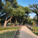 성주 경산리 성밖숲 이미지