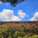 GS25포항지곡 이미지