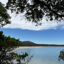 호주 캠핑 - 7일 간의 호주 동부 해안 감옥 캠핑 Trial Bay Campground 후기+ 간편 캠핑푸드