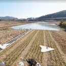 동읍1244 이미지