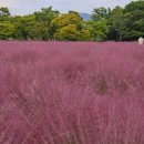 하남공원1 이미지