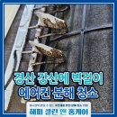 강산에 | 경산 에어컨 청소 강산에 아파트 위니아 와일드 벽걸이 분해 세척으로 쾌적한 여름 준비!