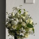 더케이에델바이스 이미지