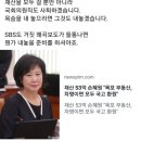 개빡친 손혜원 전 의원.jpg 이미지