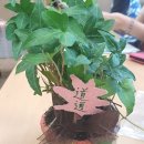 소나무언덕 잠실본동 이미지