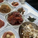 월전길 | 여수 1박2일 코스 현실 후기 (임산부도 가능했던 일정, 맛집,카페)