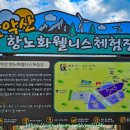 전망대 전경 포토존 이미지