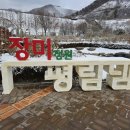 평림 | [전남장성]평림댐 장미공원-겨울편