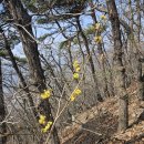 26.3.26.10.양산역.오봉산.물금역.(여심산) 이미지