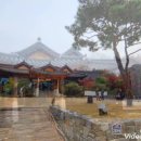 너른마당 이미지