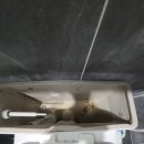 마동-04 | 광양 마동 주택 변기 누수 수리: 원인부터 해결까지 완벽 시공!